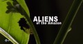 Пришельцы с Амазонки. Горбатки / Aliens of the Amazon. Treehoppers (2010) HD