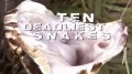Самые опасные змеи с Найджелом Марвином 02. США (2014)