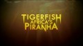 Терапон. Африканская пиранья / Tigerfish. Africa's Piranha (2014) HD