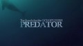 В поисках морского суперхищника / The Search for the Ocean's Super Predator (2014)
