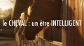 Разумное существо. Лошадь / Le cheval : un ?tre intelligent (2012) HD