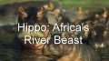 Специальный выпуск: Бегемоты: Грозные чудовища африканских рек / Special: Hippo: Africa's River Beast (2006) HD