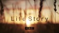 BBC История Жизни / Life Story 1 Первые шаги (2014)