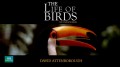 BBC Жизнь птиц / The Life of Birds 01. Летать или не летать? (1998)