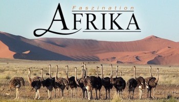 Африка / Faszination Afrika (2011)