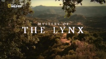 Дикая Иберия. Загадка иберийской рыси / Wild Iberia. Mystery of the Lynx (2012)