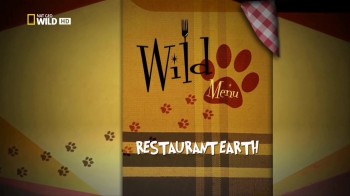 Дикое Меню / Wild Menu 01. Ресторан "Земля" (2014) Nat Geo Wild HD