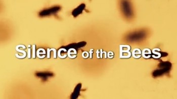 Молчание пчел / The silence of the bees (2009)