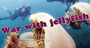 Война с медузами / War with jellyfish (2012)