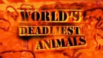 Самые опасные животные мира 1 серия / World's Deadliest Animals