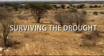 Выживание в засуху (2007) Discovery