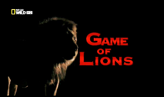 Игры львов / Game of Lions (2013)