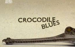 Блюз для крокодила / Crocodile Blues / 2011