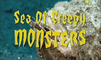 Морские чудовища (Море маленьких монстров) / Sea of Creepy Monsters (2010)