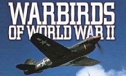 Боевые птицы Второй Мировой 5 серия. Атакуя с неба / Warbirds Of World War II