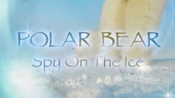 Белый медведь Шпион во льдах 2 серия / Polar Bear - Spy on the Ice (2010)