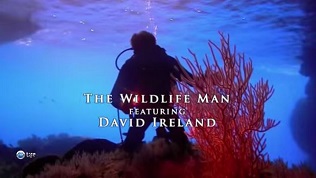 Чудеса дикой природы 01. В поисках Дракона / The Wildlife man featuring David Ireland (2011)