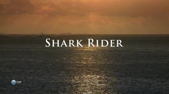 Чудеса дикой природы 13. Верхом на акуле / The Wildlife man featuring David Ireland (2011)