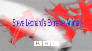 Животные-экстремалы 1 серия / Steve Leonard's Extreme Animals (2002)