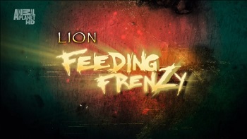 Как прокормить льва / Lion Feeding Frenzy (2008)
