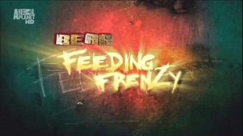 Как прокормить медведя / Bear Feeding Frenzy (2008)