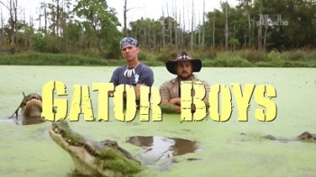 Укротители аллигаторов: Гость в бассейне / Gator Boys (2015)
