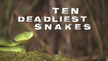 Самые опасные змеи с Найджелом Марвином 7 серия. Индия / Ten Deadliest Snakes with Nigel Marven (2015)