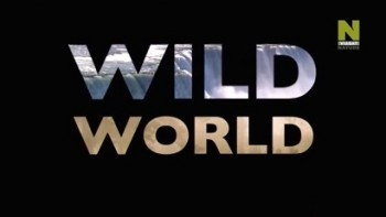 Мир Дикой Природы 4 сезон 1 серия. Дикий Камберленд / Wild World (2013)