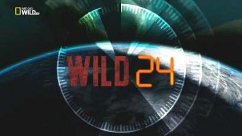 Дикие животные 24 часа 2 сезон 3 серия. Жизнь на экваторе / Wild 24 (2015)