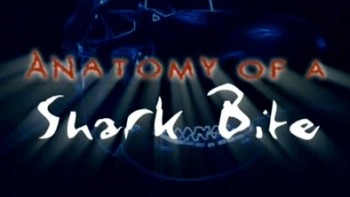 Анатомия укуса акулы / Anatomy of a Shark Bite (2003)