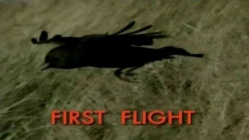 Первый полет / First Flight (2003)