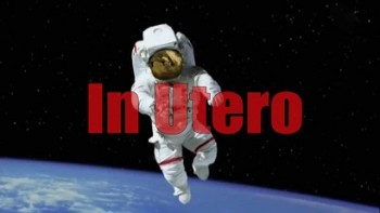 В Утробе / In Utero (2015)