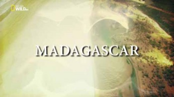 Мадагаскар - легенда острова лемуров / Madagascar (2015)