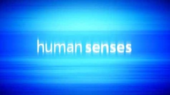 Чувства человека 1 серия. Обоняние / Human Senses (2003) HD