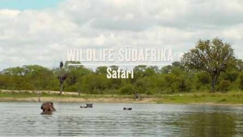 Дикая Южная Африка: Сафари / Wildlife South Africa: Safari (2012)