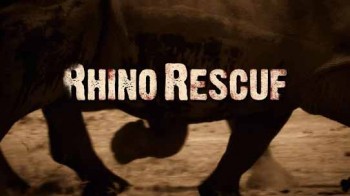 Возвращение носорогов / Rhino Rescue (2009)
