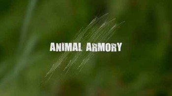 Арсенал животных 6 серия. Выбросы и запах / Animals' Armory (2016)