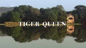 Королева тигров / Tiger Queen (2010)