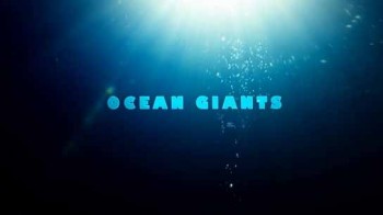Морские гиганты 1 серия. Жизнь гигантов / Ocean Giants (2011)