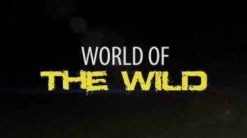 Мир дикой природы 06 серия. Джунгли Азии / World of the Wild (2016)