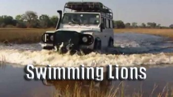 Плавающие львы / Swіmmіng Lіоns (2002)