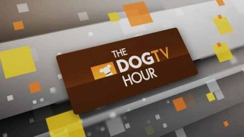 Пёс-ТВ 2 серия / The Dog TV Hour (2016)