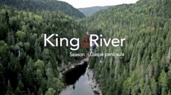 Король реки 6 серия / King of the River (2015)