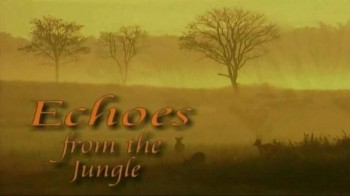 Эхо джунглей 2 серия. Дикие лошади солёных пустынь / Echoes from the Jungle (2006)