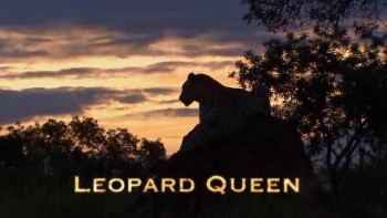 Королева леопардов / Lеораrd Quееn (2010)