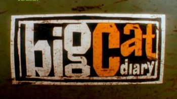 Дневник большой кошки 8 сезон 1 серия / Big Cat Diary (2007)