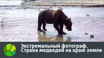 Страна медведей на краю земли. Экстремальный фотограф (2016)