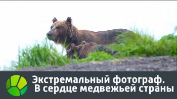 В сердце медвежьей страны. Экстремальный фотограф (2016)