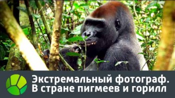 В стране пигмеев и горилл. Экстремальный фотограф (2016)