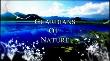 Хранители Природы: Новая Каледония / Guardian of Nature: New Caledonia (2005)